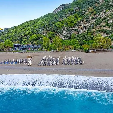 Noa 4*